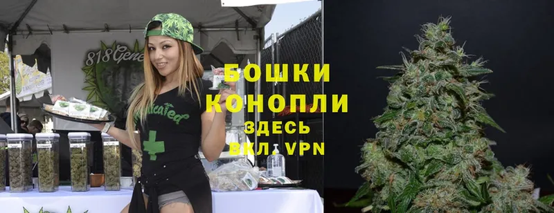 Шишки марихуана THC 21%  Семилуки 